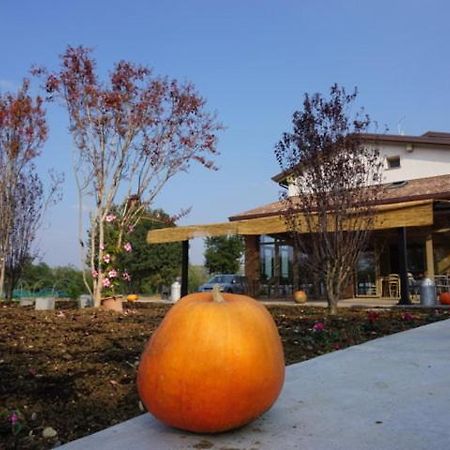 Agriturismo Campogrande Carpaneto Piacentino エクステリア 写真