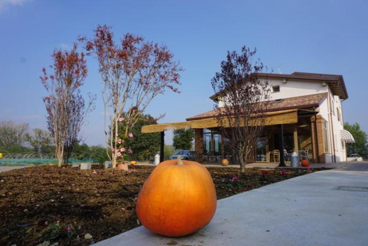 Agriturismo Campogrande Carpaneto Piacentino エクステリア 写真